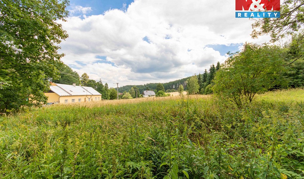 Prodej stavebního pozemku 2 903 m², Světlá Hora – náhled fotky 5