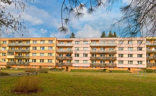 Prodej bytu 2+1 60 m², Sázavská, Světlá nad Sázavou, okres Havlíčkův Brod