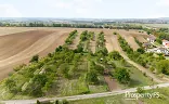 Ostatní