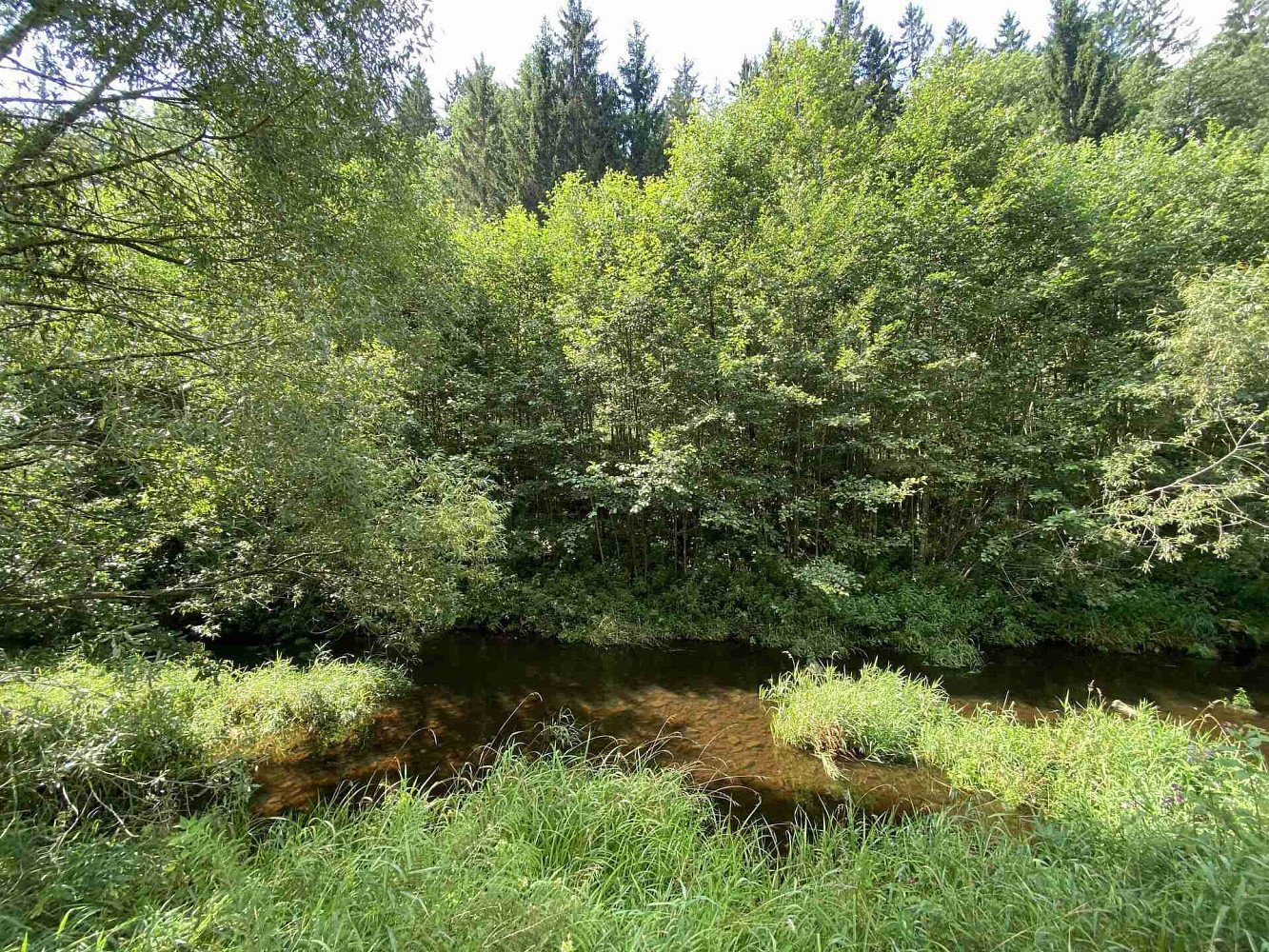 Prodej pozemku 843 m² – fotografie 4
