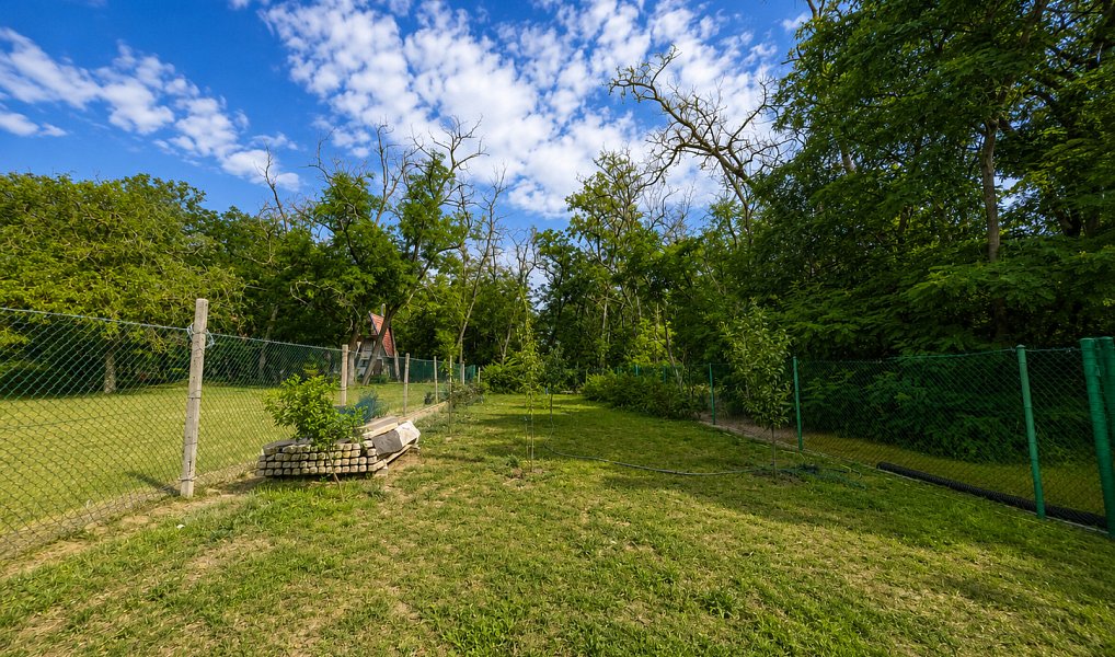 Prodej zahrady 1 560 m², Břeclav – náhled fotky 10