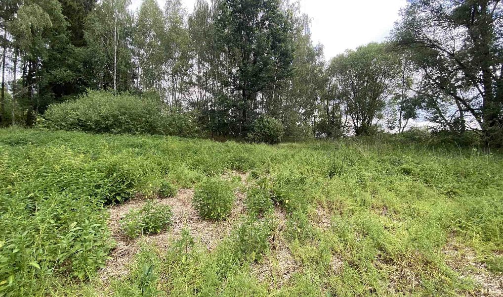 Prodej louky 6 751 m², Nové Hrady – náhled fotky 4