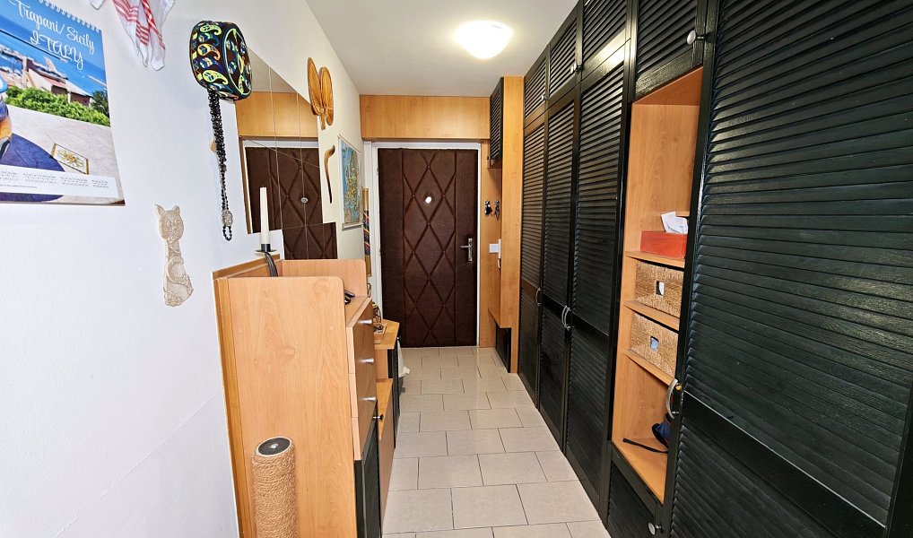 Prodej bytu 3+kk 108 m², Náměšť nad Oslavou – náhled fotky 11
