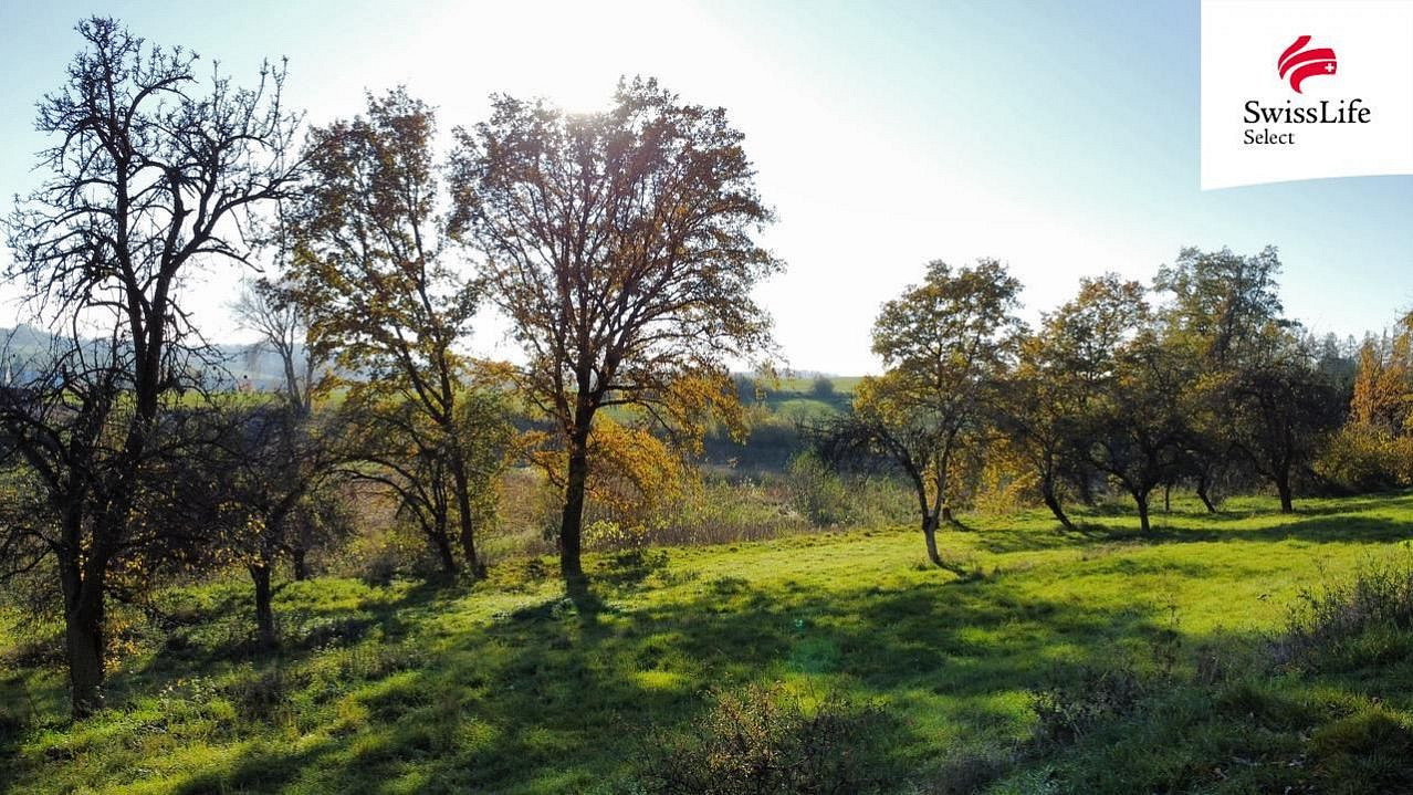 Prodej stavebního pozemku 1 442 m² – pohled 5