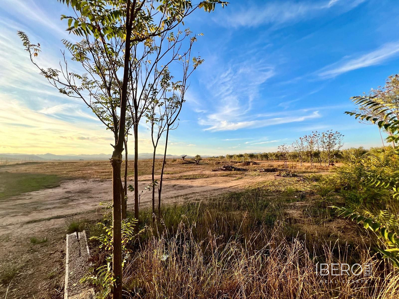 Casa 5+kk – Yecla, Altiplano - Vista 3