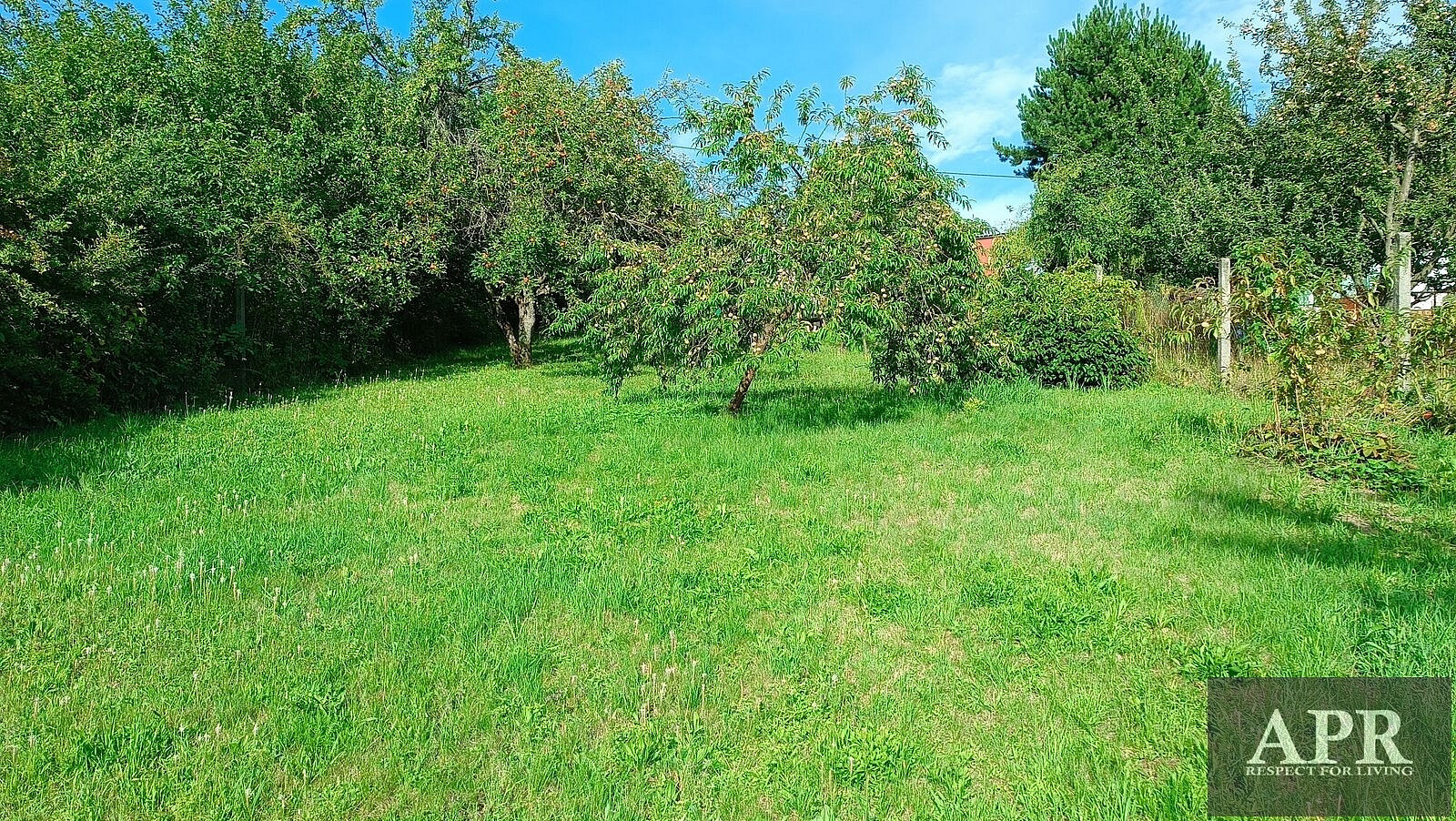 Prodej chaty/chalupy 25 m² s pozemkem 1 078 m² — photo 3