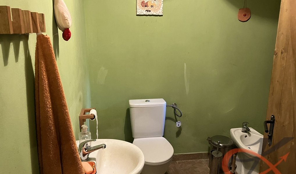 Prodej domu 438 m² s pozemkem 1 792 m², Čelechovice na Hané – náhled fotky 10