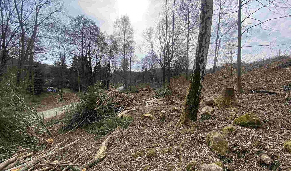 Prodej stavebního pozemku 704 m², Horní Stropnice – náhled fotky 6