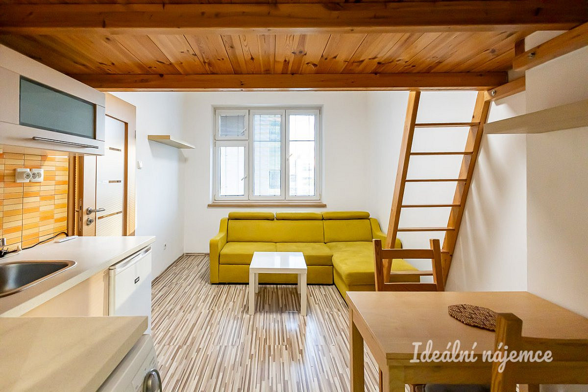 Pronájem bytu 1+kk 20 m² – fotografie 4