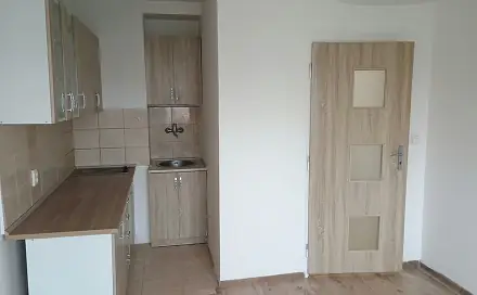 Pronájem bytu 1+1 48 m²