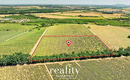 Prodej pole 33 963 m², Šanov, okres Znojmo
