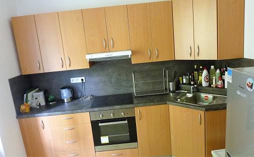 Pronájem bytu 1+1 37 m², Pod vinohradem, Praha 4 - Braník
