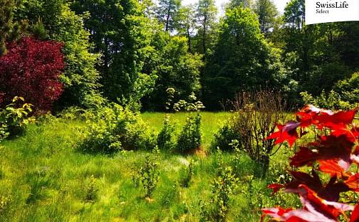 Prodej stavebního pozemku 2 136 m², Radešín, okres Žďár nad Sázavou