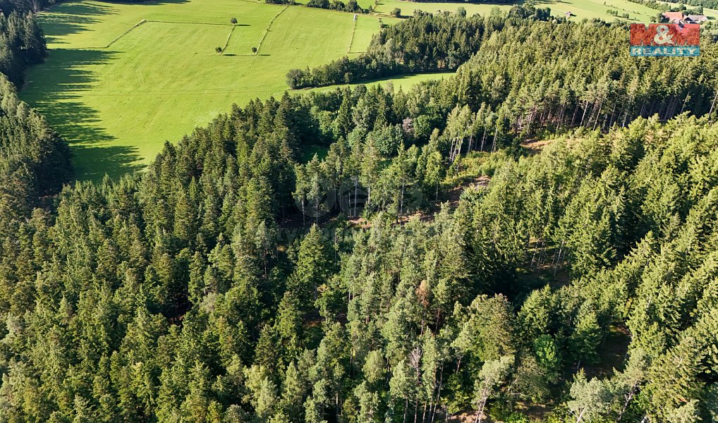 Prodej lesa 15 707 m², Petrovice u Sušice – náhled fotky 18