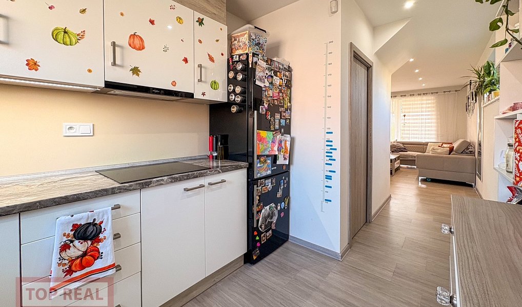Prodej domu 104 m² s pozemkem 225 m², Kroměříž – náhled fotky 9