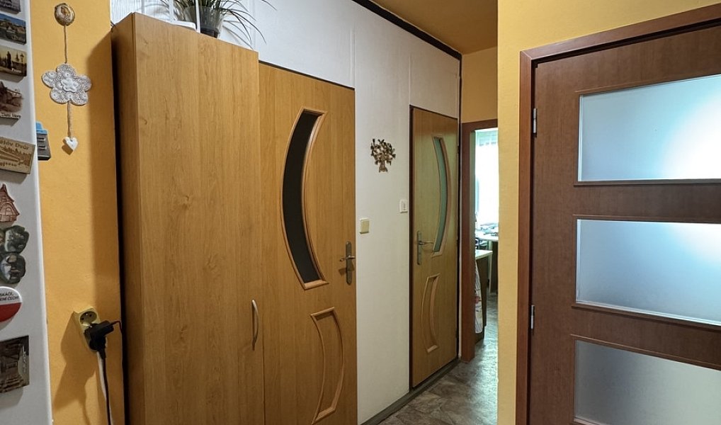 Prodej bytu 2+1 67 m², Orlová – náhled fotky 18