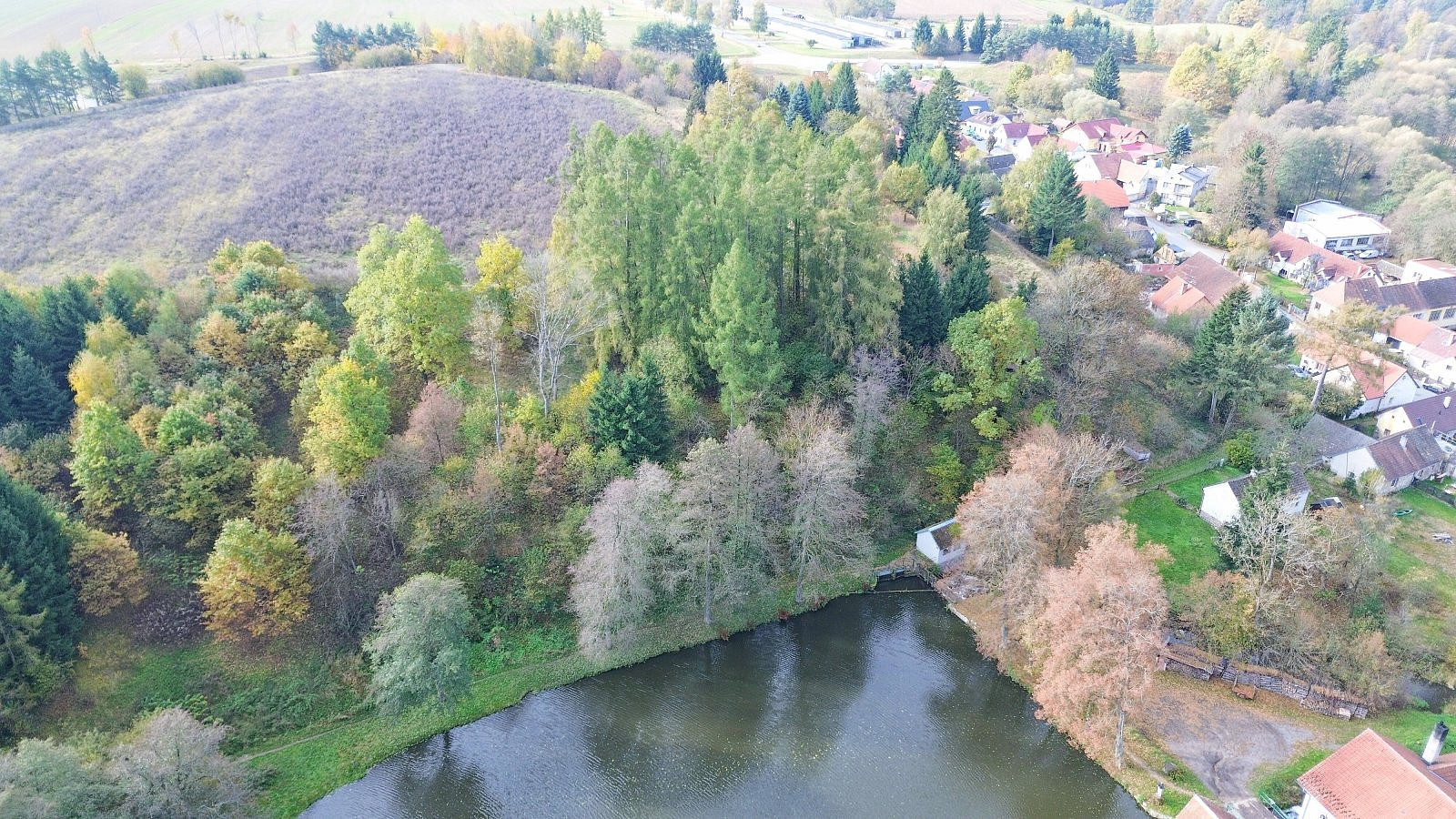Prodej lesa 986 m² — photo 2