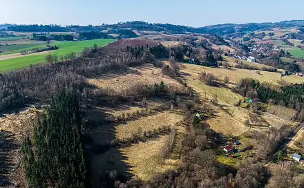 Prodej louky 108 290 m², Slaná, okres Semily