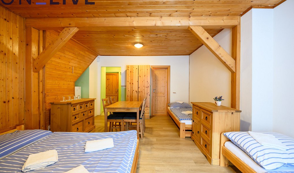 Prodej komerčního objektu (jiného typu) 500 m², Železná Ruda – náhled fotky 10