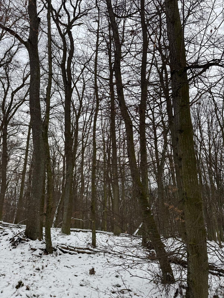 Fotka 3 z 7