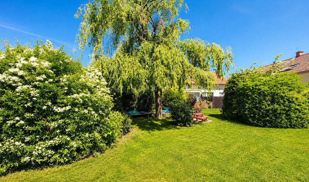Prodej domu 64 m² s pozemkem 59 m², Brno – náhled fotky 39