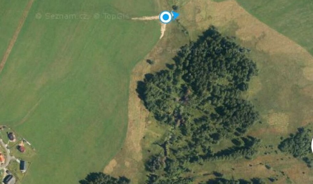 Prodej lesa 29 205 m², Borová Lada – náhled fotky 3