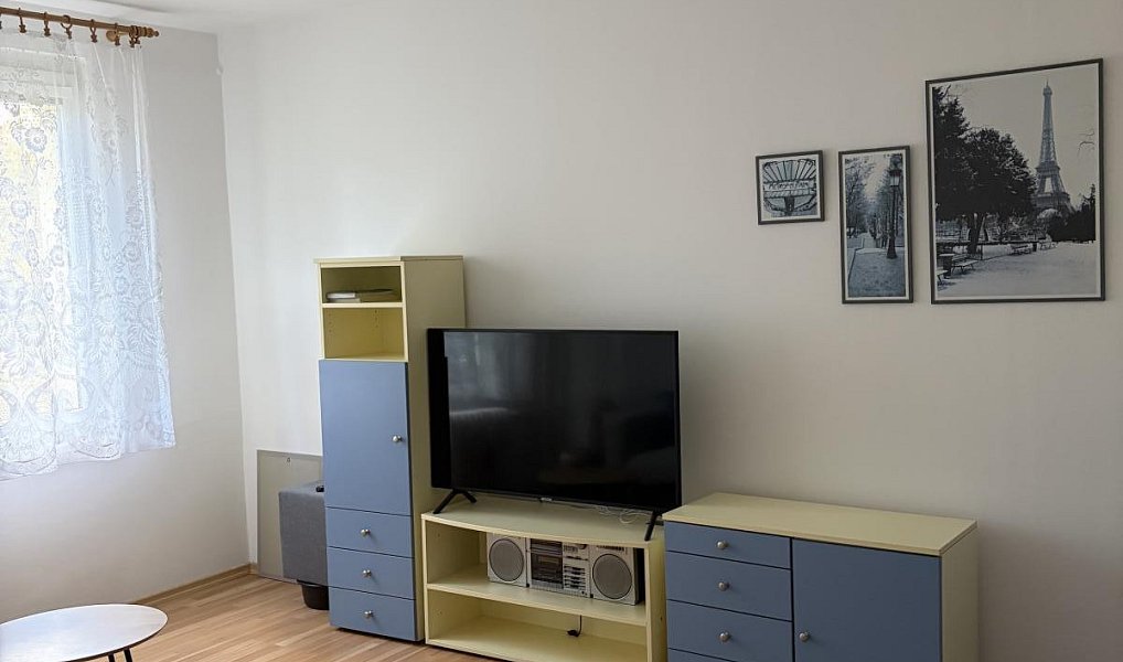 Pronájem bytu 1+1 36 m², Trutnov – náhled fotky 6