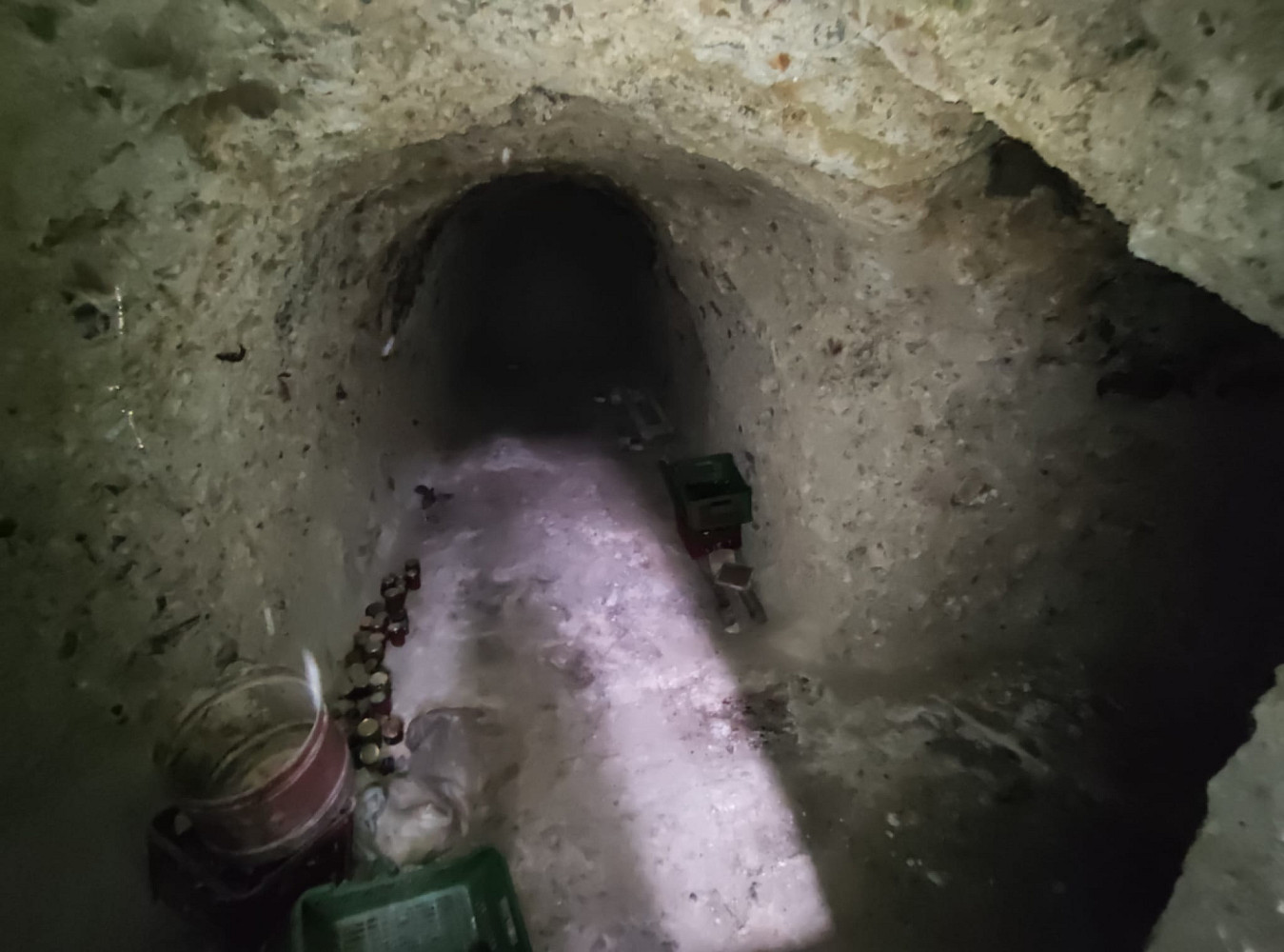 Prodej vinného sklepa 14 m² vrbice, okres břeclav — photo 4
