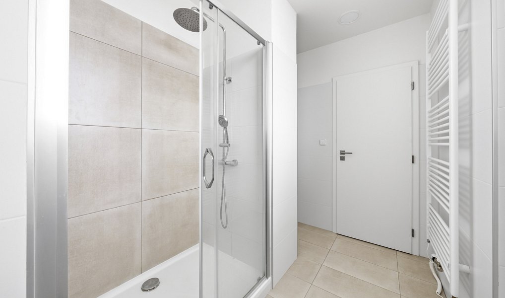 Pronájem bytu 1+1 66 m², Plzeň – náhled fotky 8