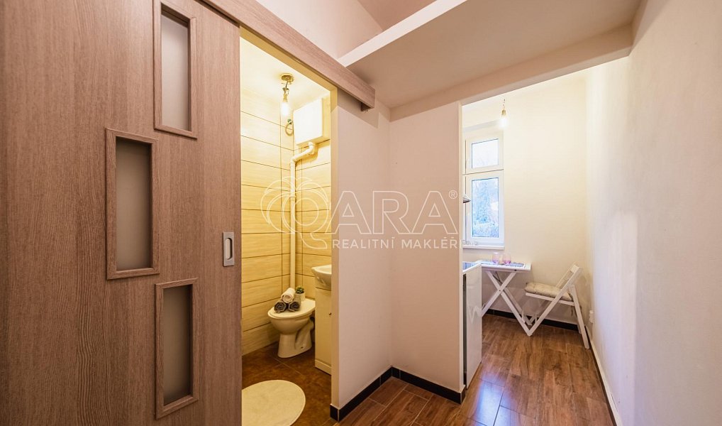 Pronájem bytu 1+1 29 m², Praha – náhled fotky 10