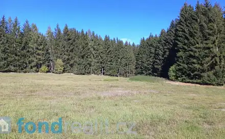 Prodej pozemku 4 992 m², Studená, okres Jindřichův Hradec