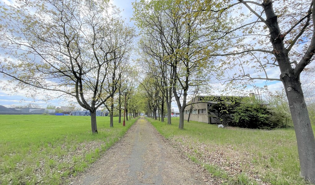 Prodej komerčního pozemku 26 712 m², Louny – náhled fotky 7