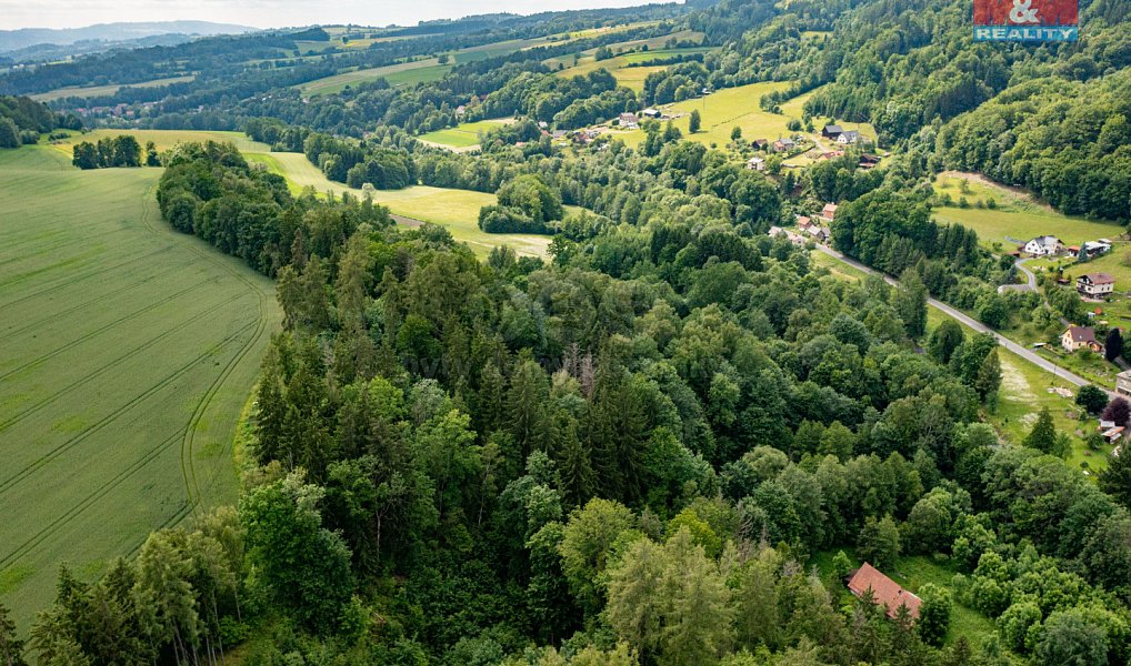Prodej lesa 36 610 m², Peřimov – náhled fotky 7