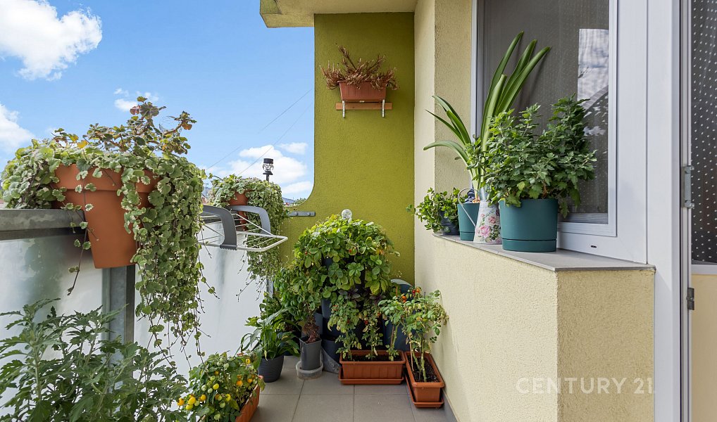Prodej bytu 3+1 69 m², Velká nad Veličkou – náhled fotky 12