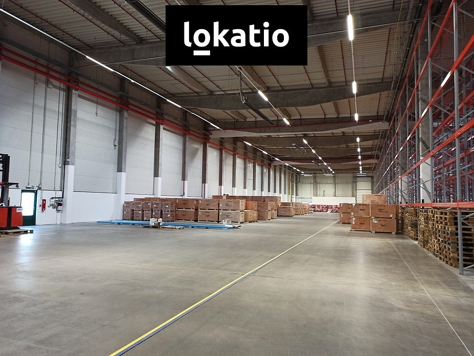 Pronájem skladovacích prostor 7 771 m² — photo 3