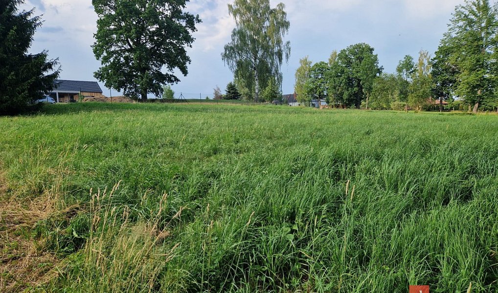 Prodej zahrady 3 023 m², Luková – náhled fotky 3