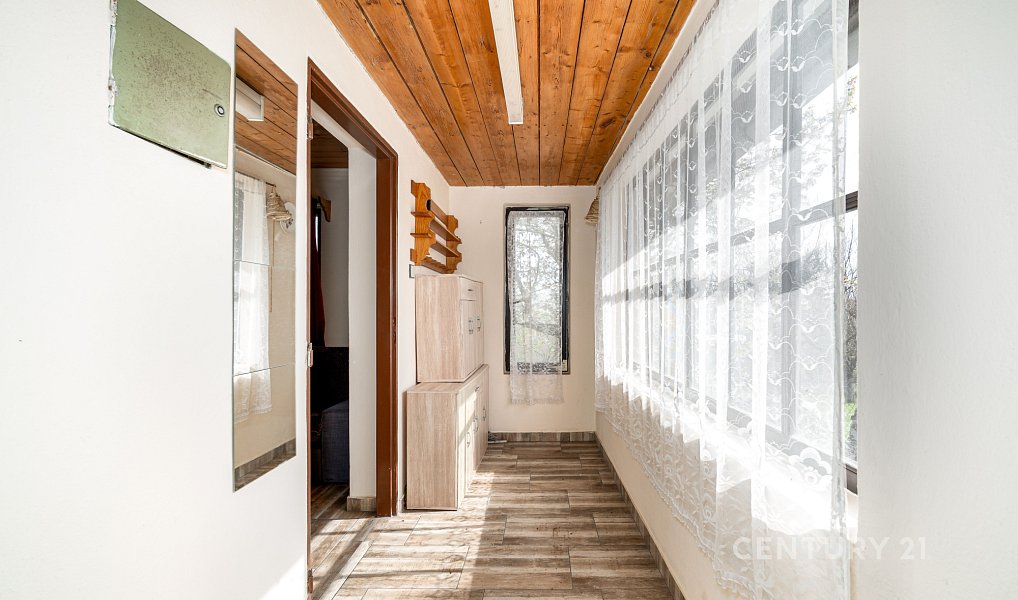 Prodej zahrady 1 157 m², Dyje – náhled fotky 6