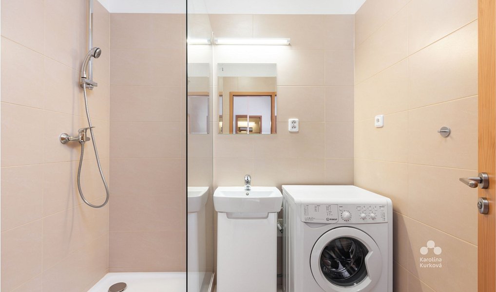 Pronájem bytu 1+kk 55 m², Praha – náhled fotky 13