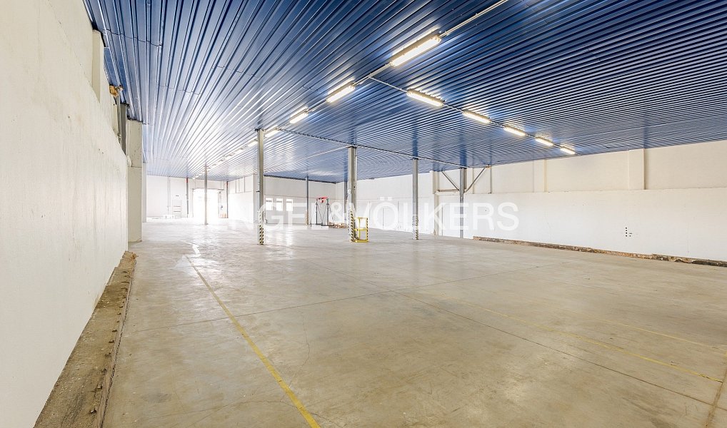 Pronájem skladovacích prostor 1 321 m², Vysoké Veselí – náhled fotky 2