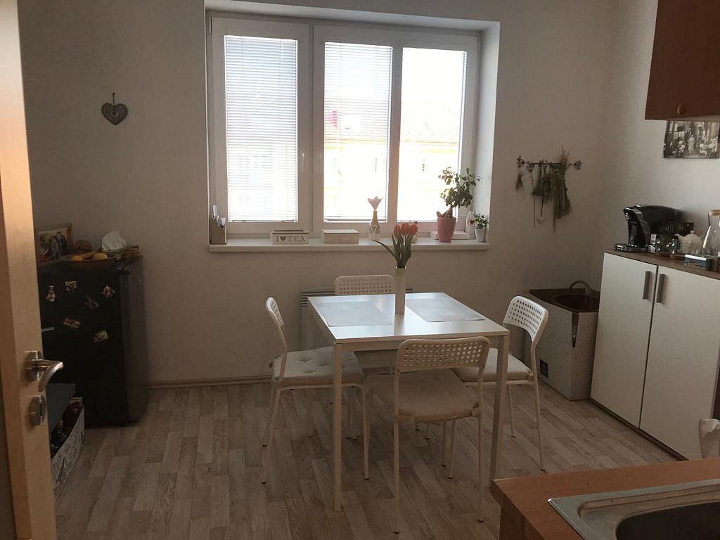 Pronájem bytu 1+1 40 m² — photo 3