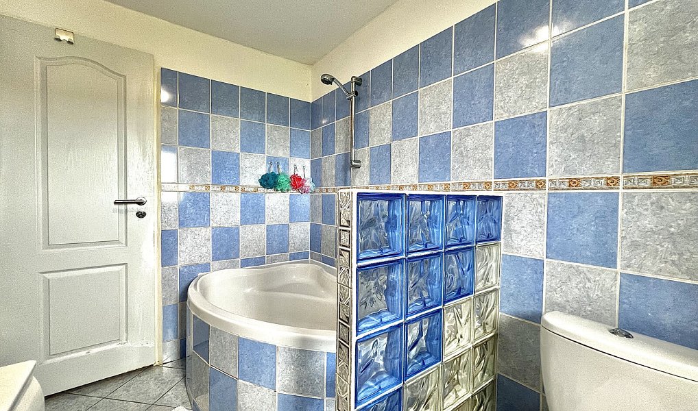 Prodej domu 200 m² s pozemkem 722 m², Hodkovice nad Mohelkou – náhled fotky 20