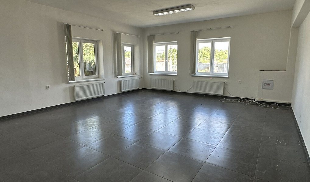 Pronájem výrobních prostor 6 779 m², Stráž – náhled fotky 19