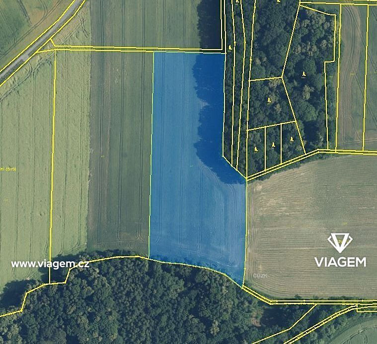 Prodej pole 3 817 m² – fotografie 3