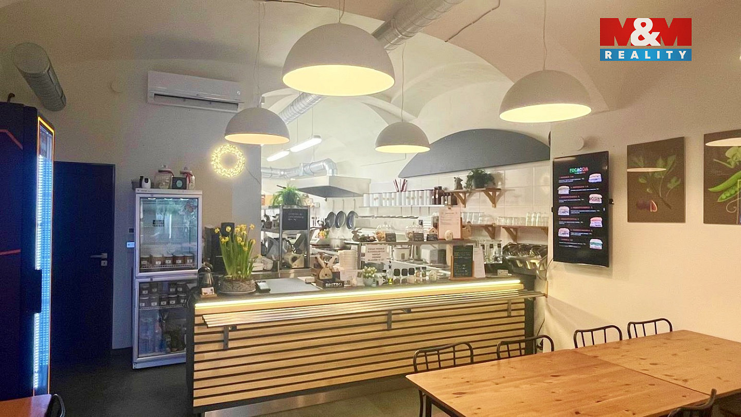 Pronájem obchodních prostor 45 m² – pohled 4