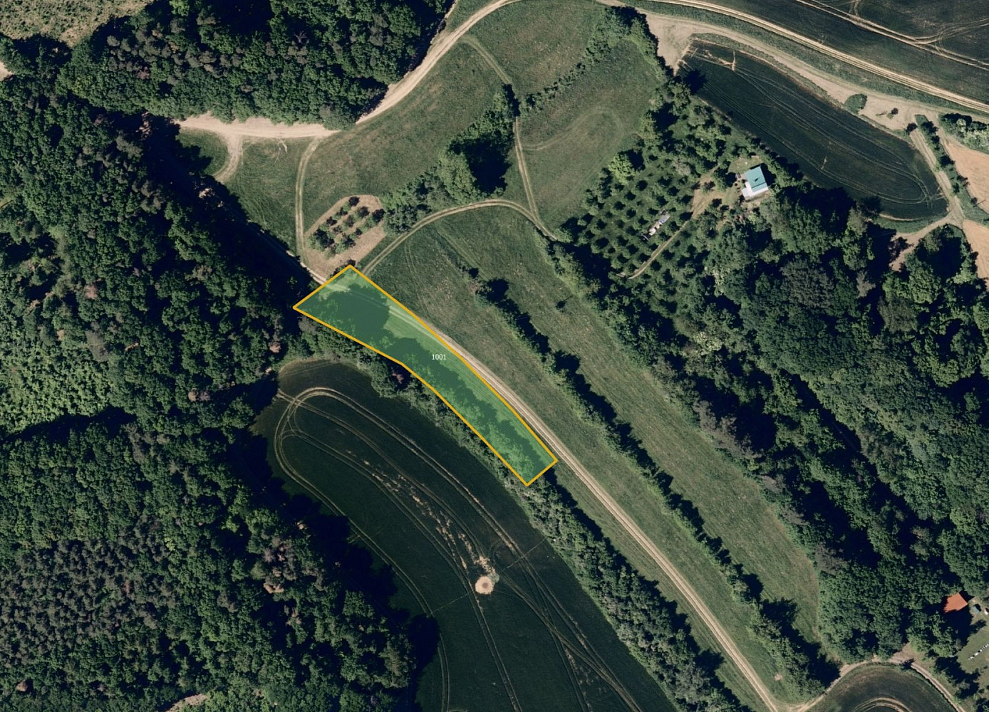 Prodej pole 6 068 m² — photo 3
