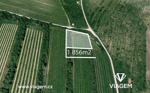Prodej pole 1 856 m², Šardice, okres Hodonín