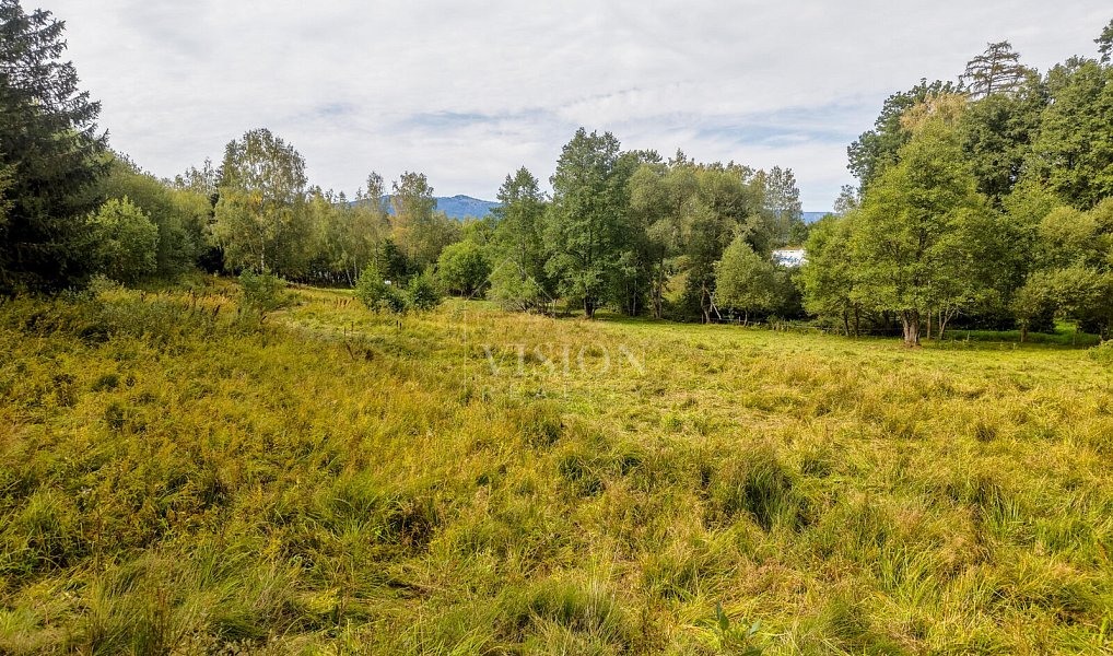 Prodej stavebního pozemku 1 286 m², Horní Planá – náhled fotky 13