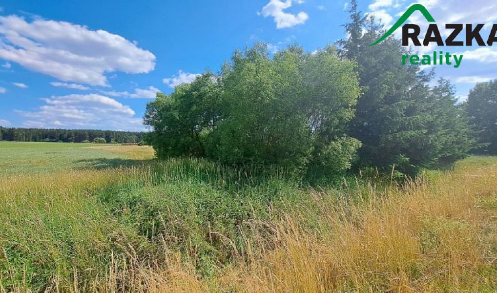 Prodej zahrady 393 m², Tisová – náhled fotky 4