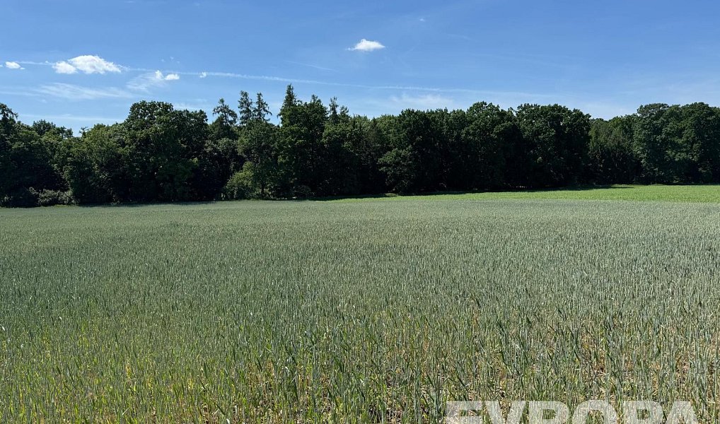 Prodej pole 7 494 m², Ledce – náhled fotky 2