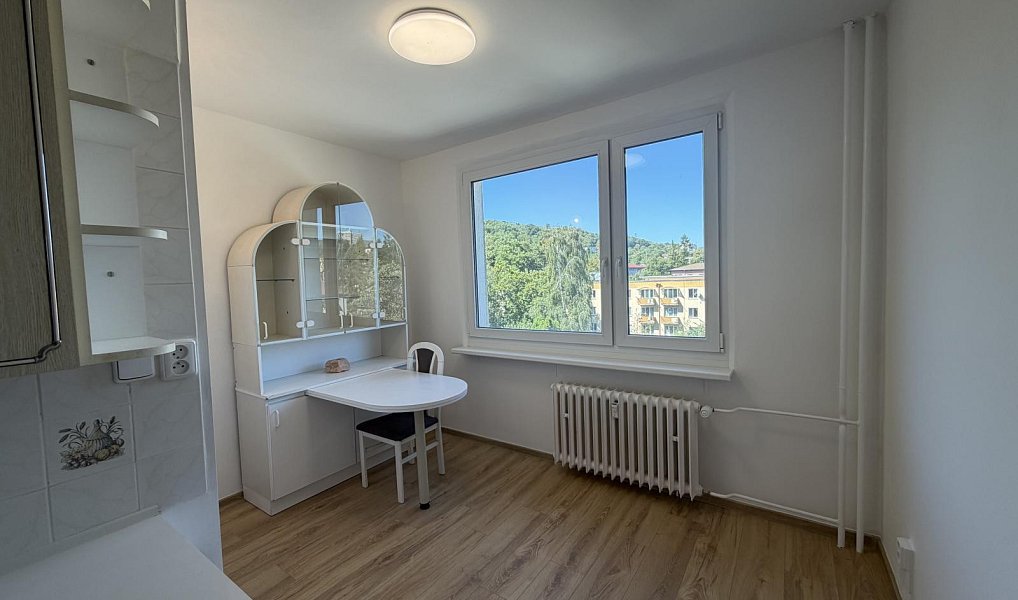 Pronájem bytu 2+1 64 m², Ústí nad Labem – náhled fotky 4